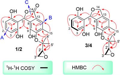 Antioxidant Aryl-Substituted Phthalan Derivatives Produced by Endophytic Fungus Cytospora rhizophorae